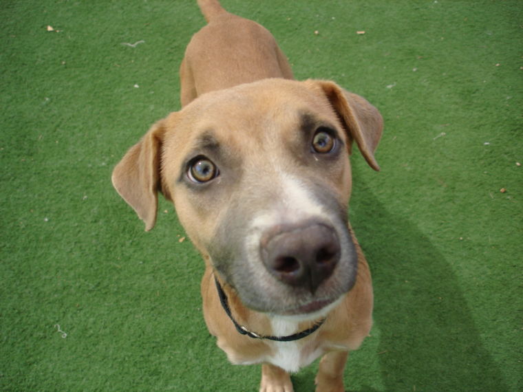 Someone to Love: Jones